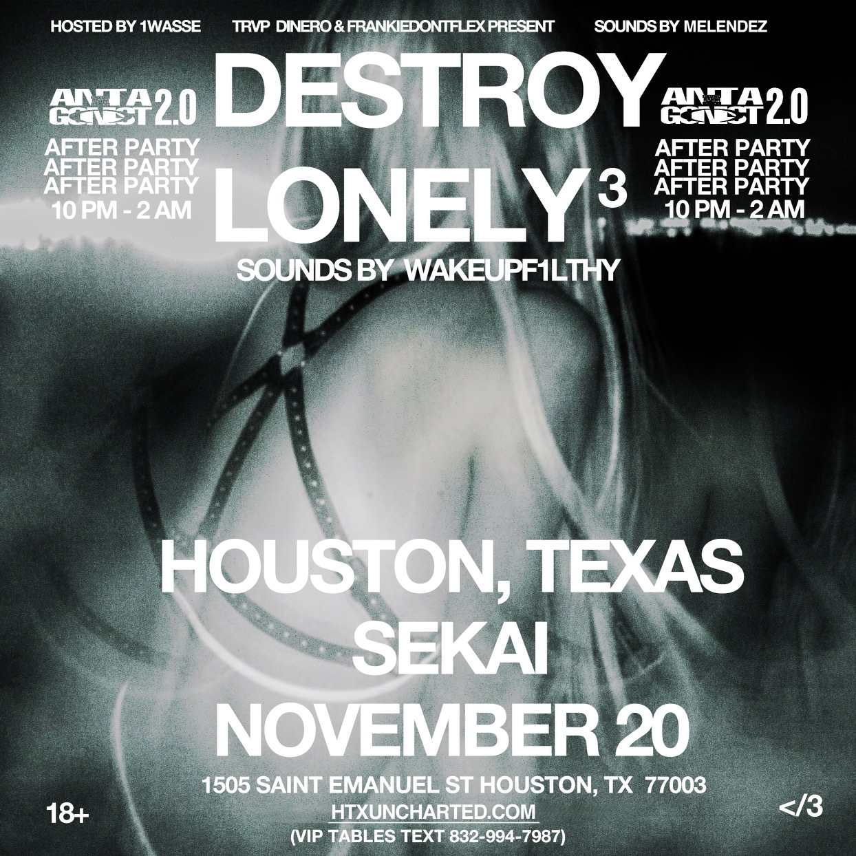 Destroy Lonely After Party Flyer